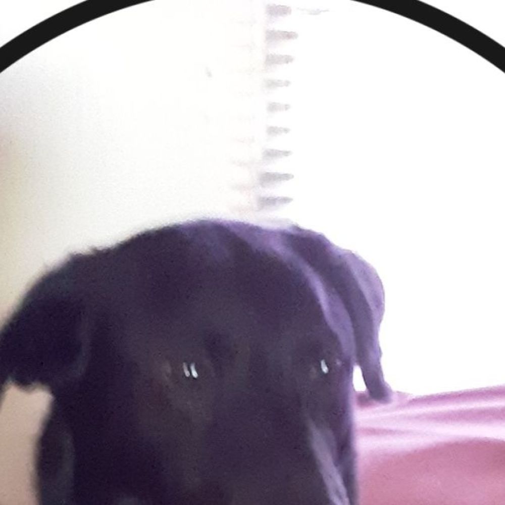 Meet your Posher, Joyce